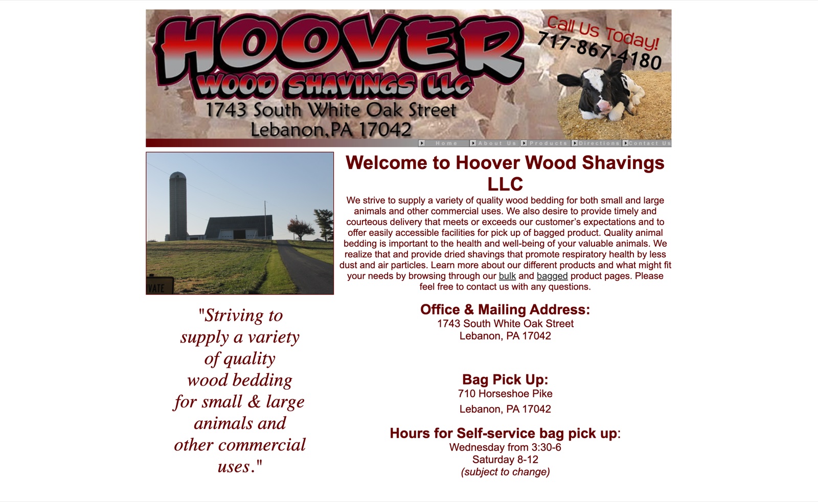 Hoover Wood Shavings website before the redesign — dated chrome logo and dense layout